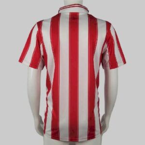 Alternative view of Retro PSV Eindhoven 1994/1995 Home Jersey