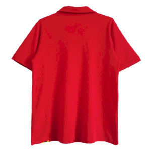 Alternative view of Retro Wales 1976/79 Jersey