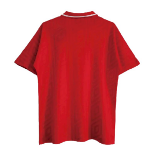 Alternative view of Retro Wales 1992/94 Home Jersey