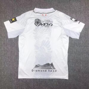 Alternative view of Hokkaido Consadole Sapporo 2023/24 Away Jersey