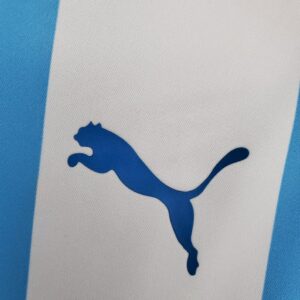 d017820bb9ad3bd317217930ad2e3233