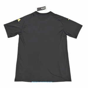 Alternative view of Mens Argentina 2024/25 Pre-Match Jersey