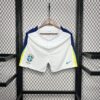 Mens Brazil 2024/25 Away Shorts