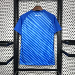 Alternative view of Mens Dinamo Zagreb 2024/25 Home Jersey