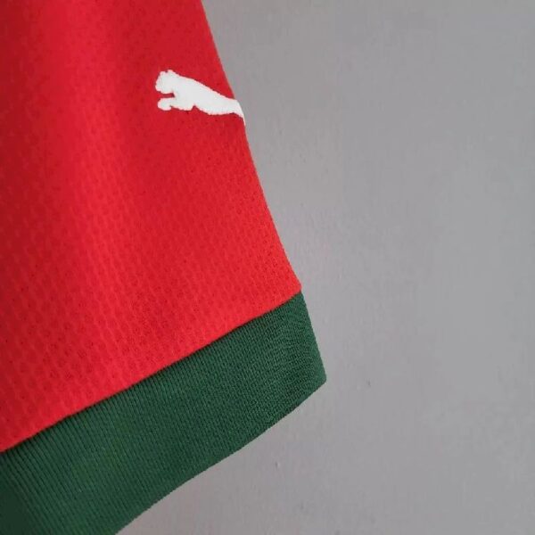 Morocco 2022 World Cup Home Jersey 40184