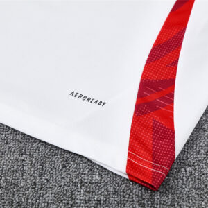 Vue alternative de Unisex Manchester United 2024/25 Training Kids Jersey+Short 14001