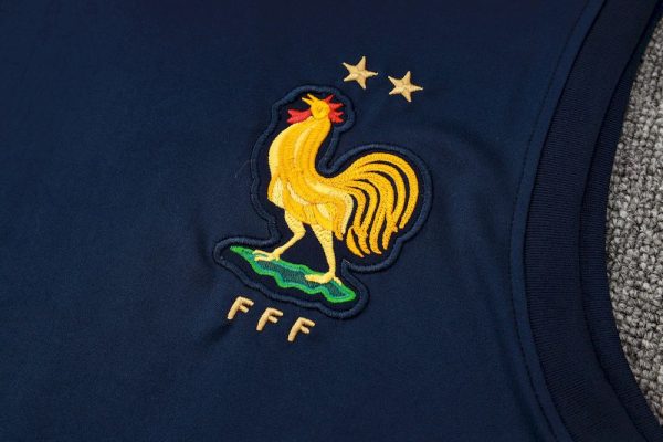 France 2024/25 Adult Tank Top+Short 815 - Image 4