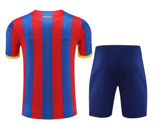 Barcelona 2023/24 Training Adult Jersey+Short 418 - Image 2