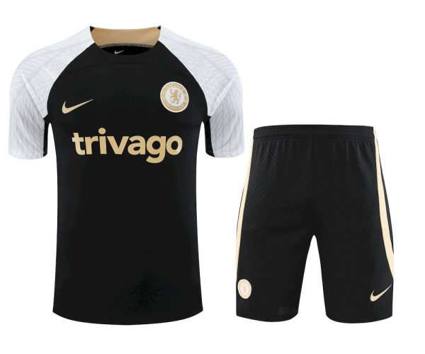Chelsea 2023/24 Training Adult Jersey+Short 418