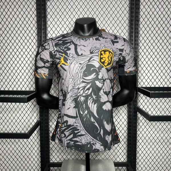 Netherlands 2024/25 Euro Jordan Version Jersey Player Version