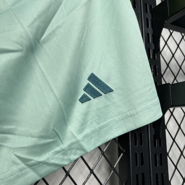 Mexico 2024/25 Away Shorts - Image 4