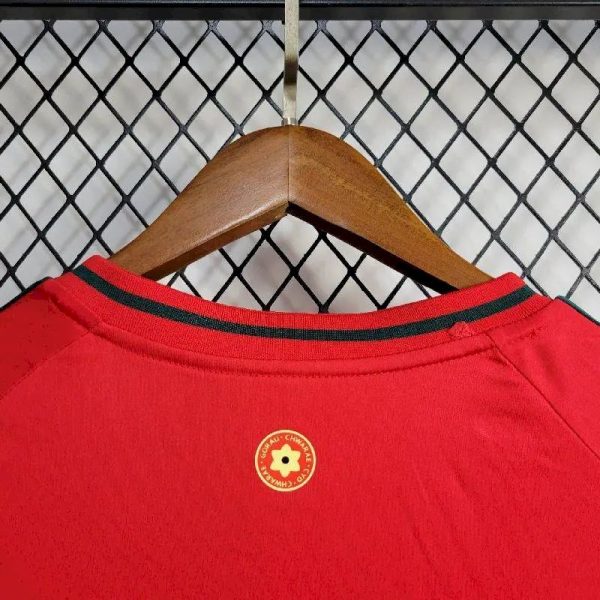 Wales 2024/25 Euro Away Jersey - Image 8