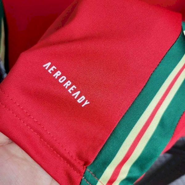 Wales 2024/25 Euro Away Jersey - Image 6