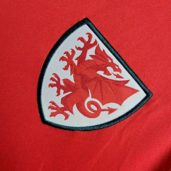 Wales 2024/25 Euro Away Jersey - Image 5