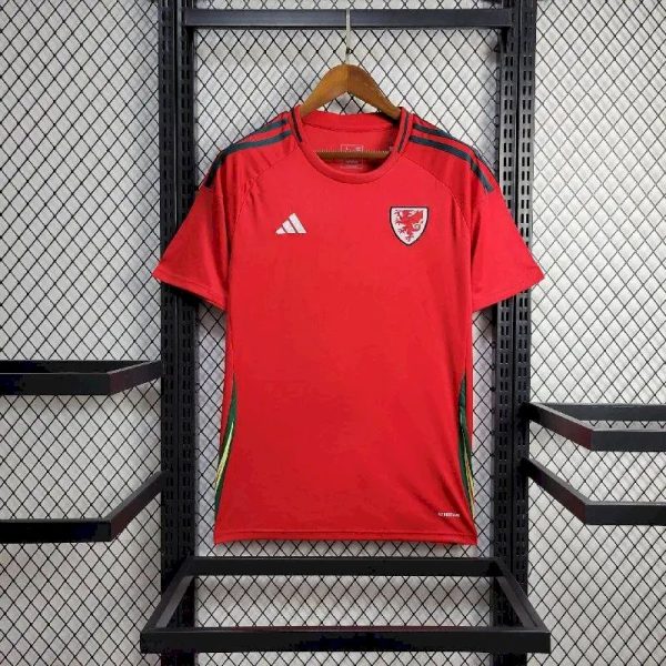 Wales 2024/25 Euro Away Jersey - Image 2