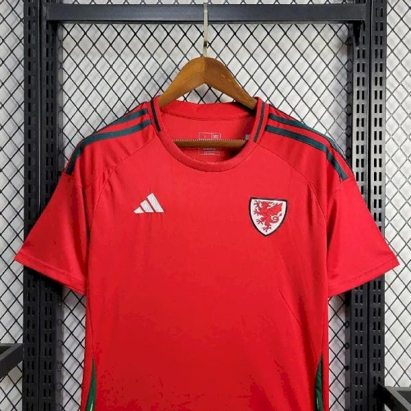 Wales 2024/25 Euro Away Jersey - Image 4