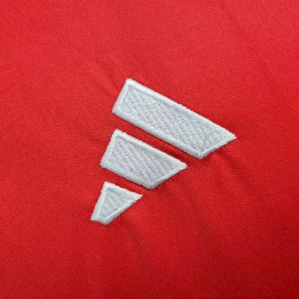 Wales 2024/25 Euro Away Jersey - Image 3