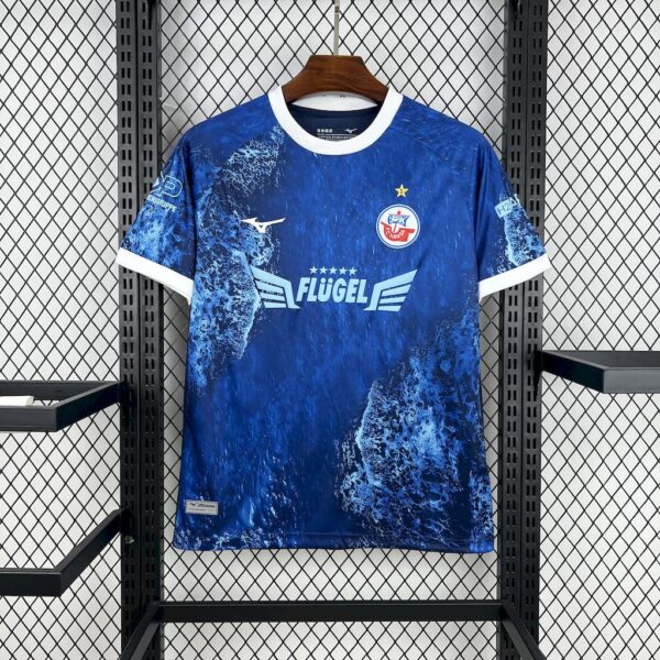 Fc Hansa Rostock 2025/26 Baltic Sea Special Edition Jersey - Image 3