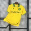 Mens Norwich City FC 2025/26 Home Jersey