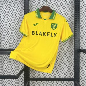 Norwich City Fc 2025/26 Home Jersey
