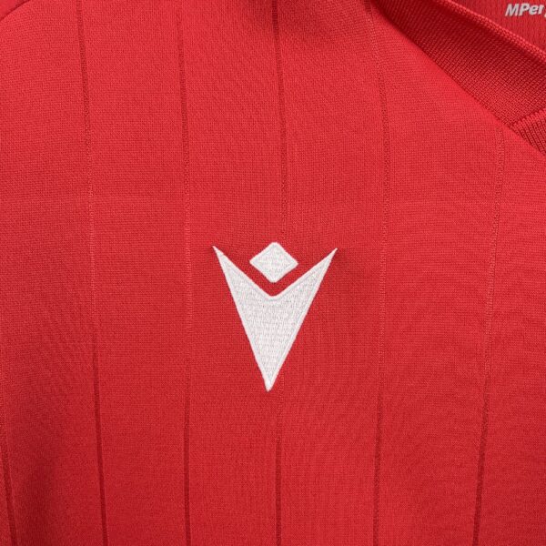 Ca Osasuna 2025/26 Home Jersey - Image 10