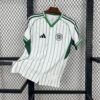 Mens Celtic 2025/26 Baseball Jersey