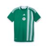 Mens Algeria 2025/26 Away Jersey